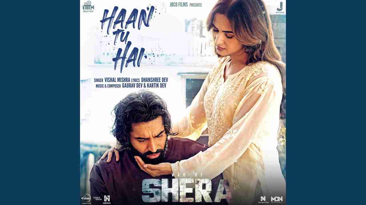 Haan Tu Hai Lyrics - Vishal Mishra
